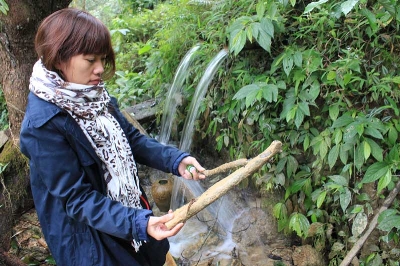 Một[-]cành[-]cây[-]đã[-]hóa[-]đá[-]hoàn[-]toàn[-]được[-]nhặt[-]lên[-]từ[-]lòng[-]suối[-]Hiếu.[-]Ảnh:[-]Hoàng[-]Lam